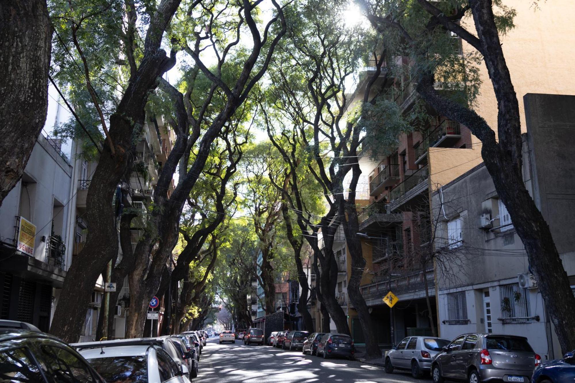 Palermo Soho G4827 - Departamentos Modernos, Amplios Y Luminosos Lejlighed Buenos Aires Eksteriør billede
