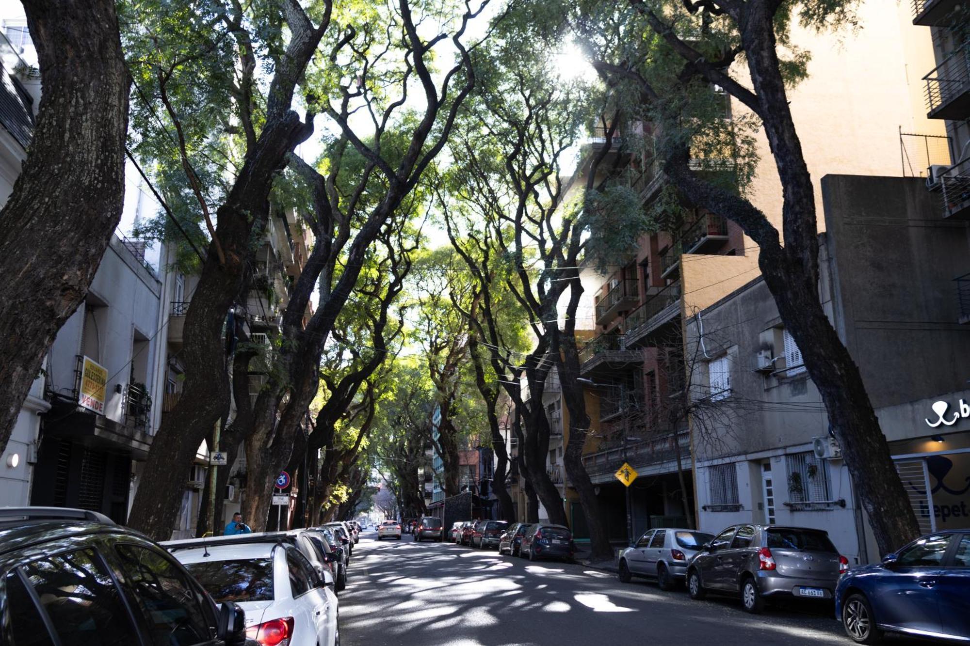 Palermo Soho G4827 - Departamentos Modernos, Amplios Y Luminosos Lejlighed Buenos Aires Eksteriør billede