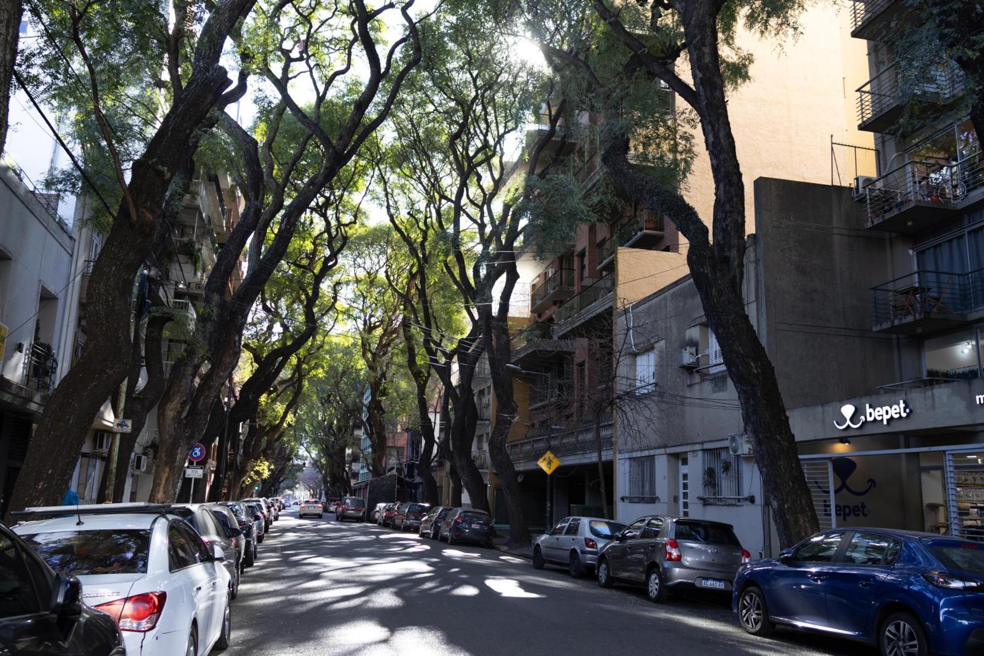 Palermo Soho G4827 - Departamentos Modernos, Amplios Y Luminosos Lejlighed Buenos Aires Eksteriør billede